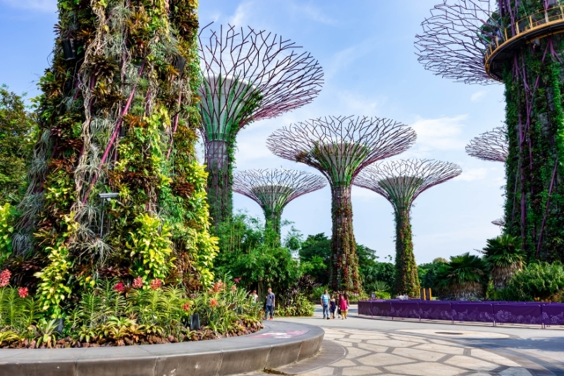 29SINGAPORE