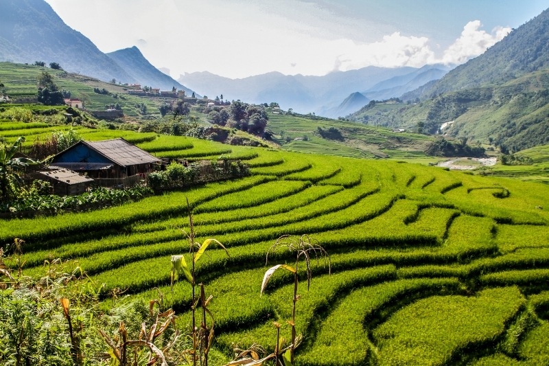 36 TOUR HÀ NỘI