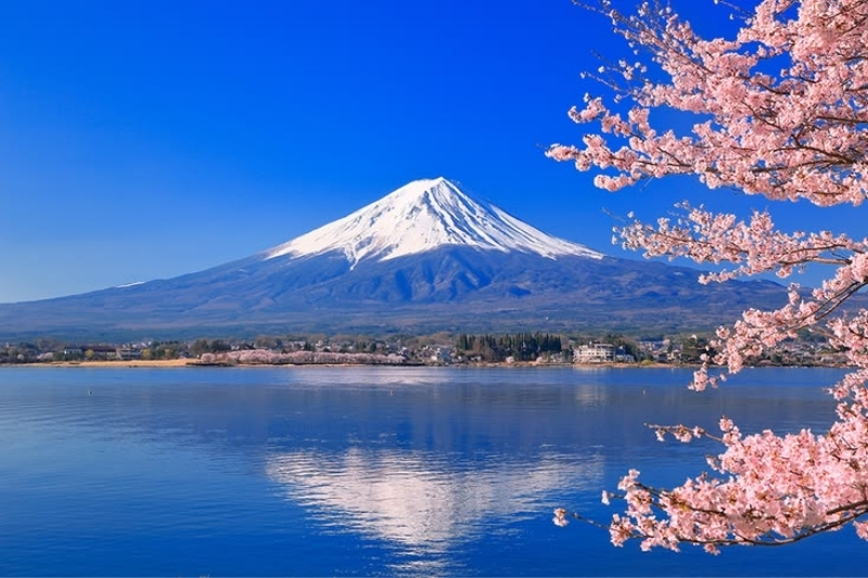 TOKYO – PHÚ SĨ – NARITA 16