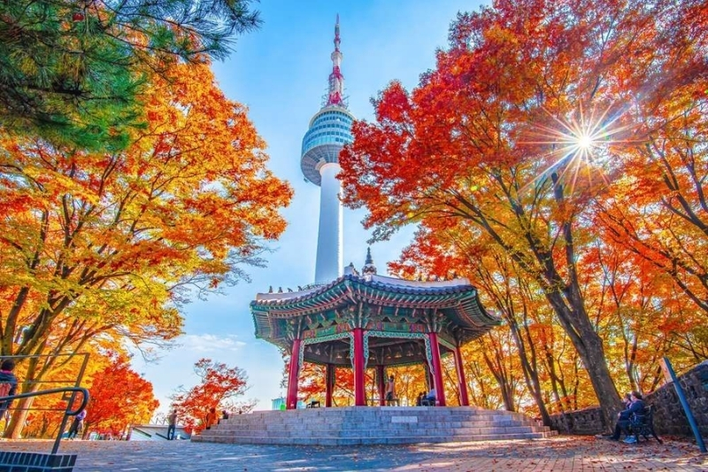 tour Hàn SGN_11